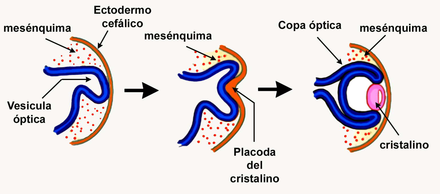 Figura1