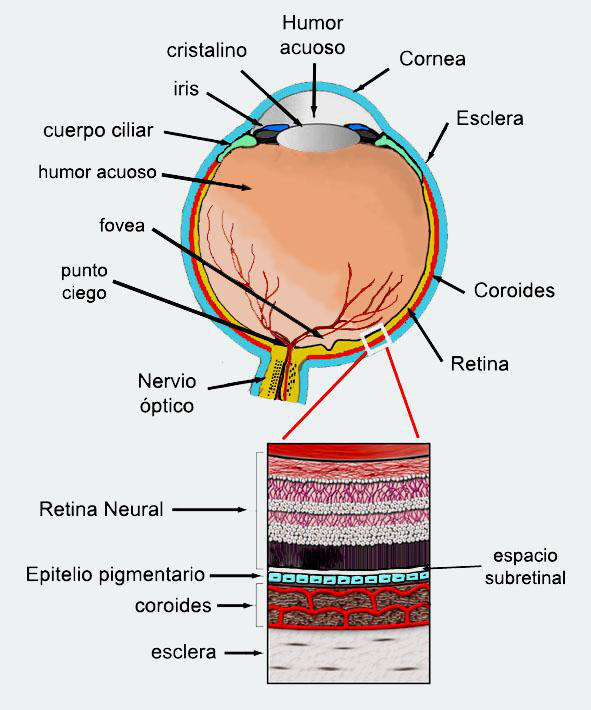 Figura1