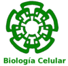 Biologia Celular